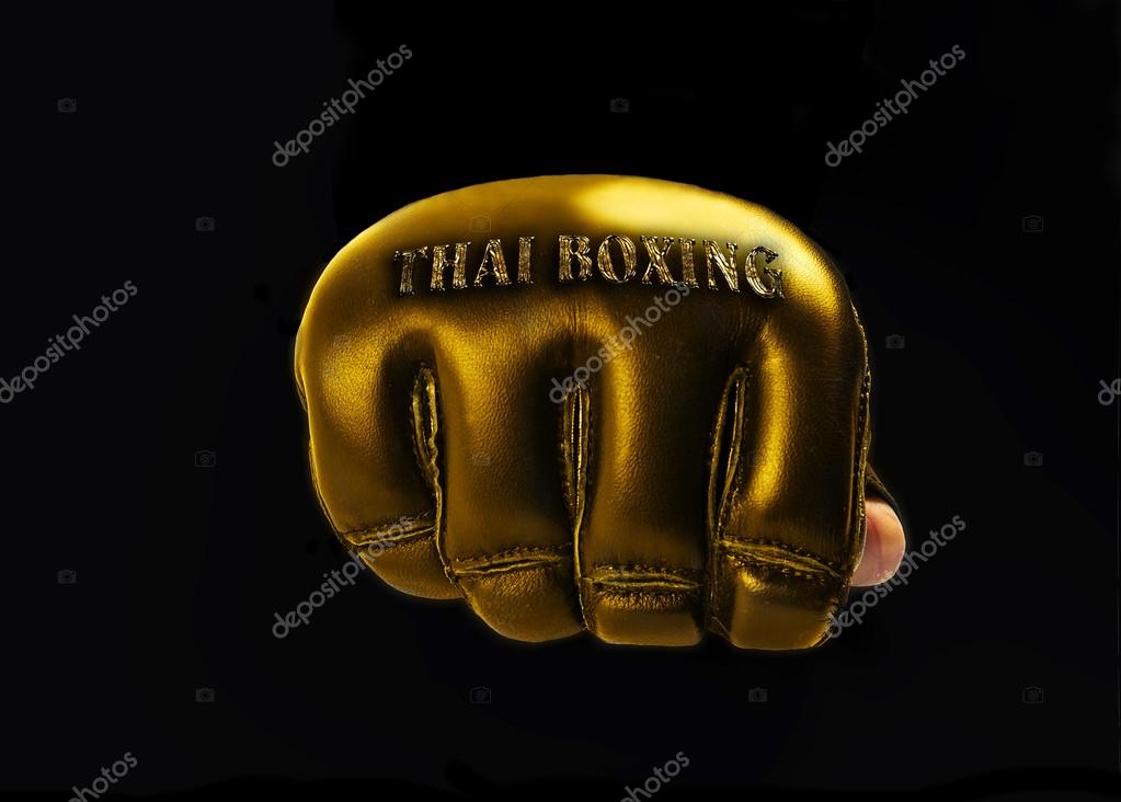 Gold Glove for the martial arts,mma. words 