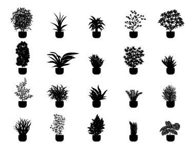 Çömlek silueti koleksiyonunda bitkiler