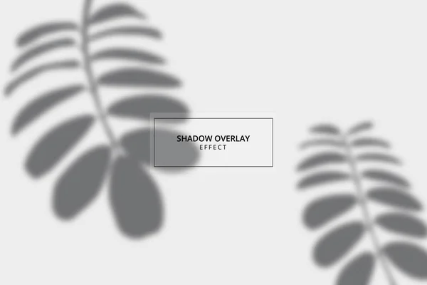 Schatten Overlay Effekt Auf Grauem Hintergrund Attrappe — Stockvektor