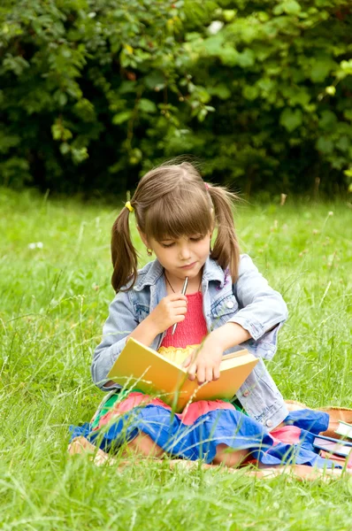 Pequeño alumno leyendo libros — Foto de Stock