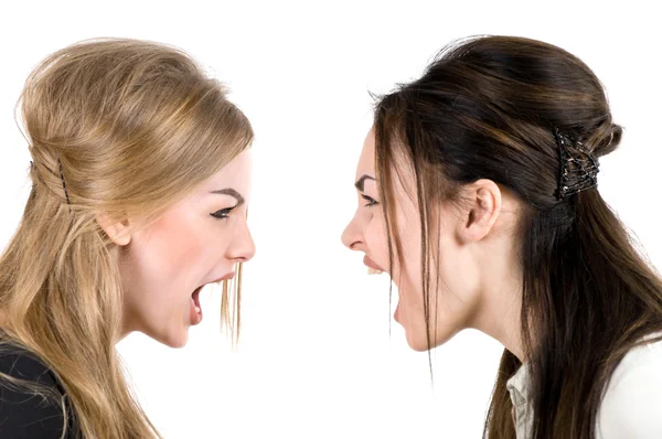 Dos mujeres gritan Imagen de stock