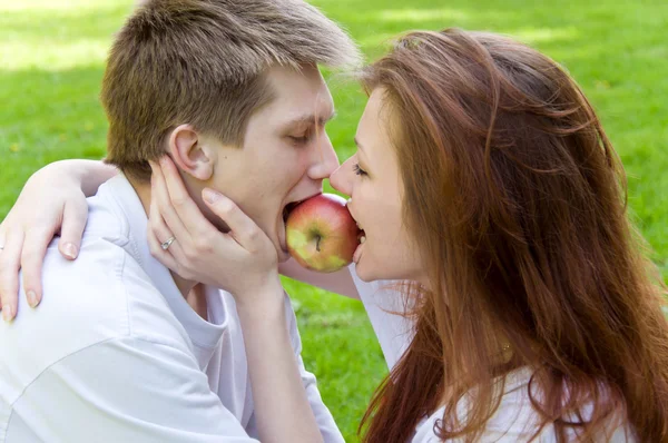 Picnic — Foto Stock