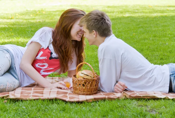 Picknick — Stockfoto