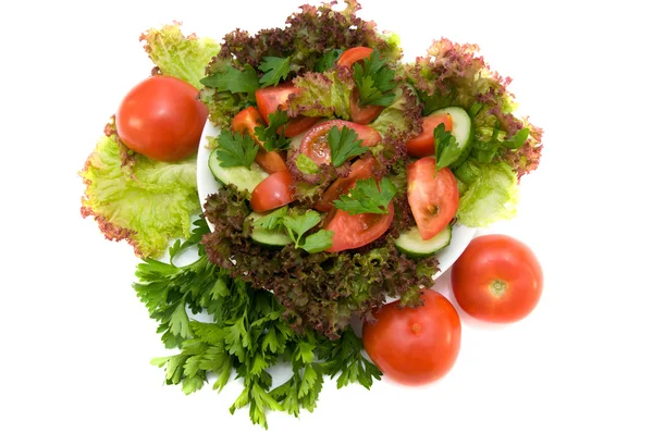 Fresh salad with tomatoes and herbs — Stock Photo, Image