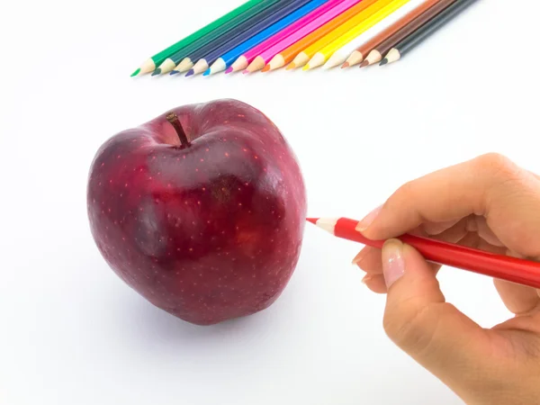 Drawing Apple — Stock Photo, Image