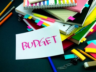 Biri üzerinde çalışıyor mesajı bırakmış Danışma; Bütçe