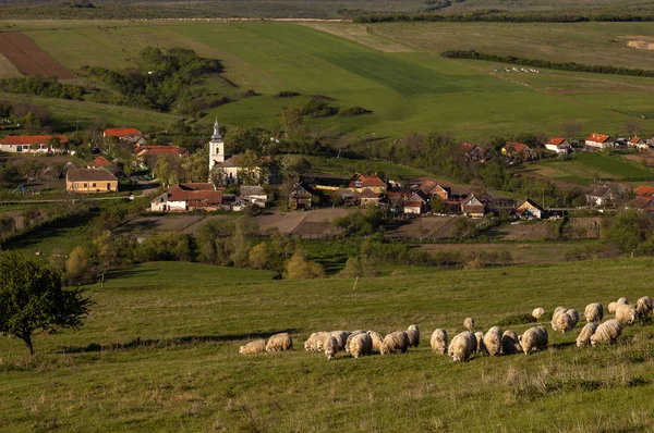 Old Romanian village — Stock Photo, Image