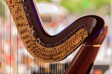 ARP ayrıntıları denilen Senfoni müzik aleti