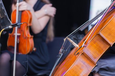 Çello Orkestrası müzik aletleri