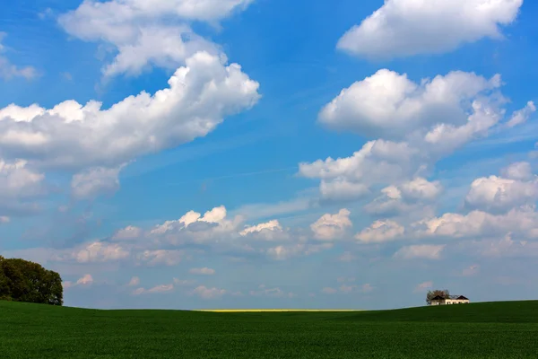 Paisaje de grano — Foto de Stock