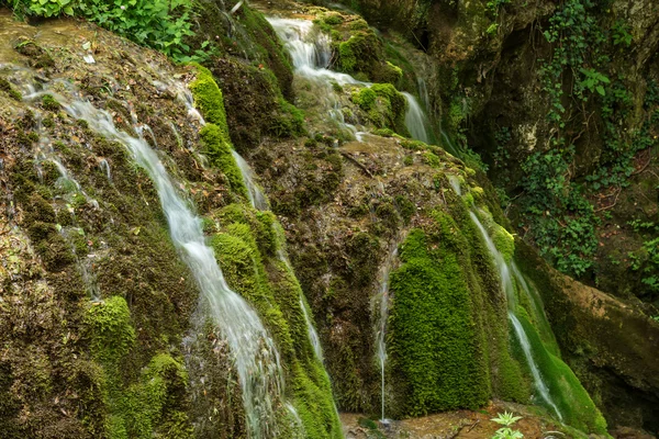 Cachoeira natural selvagem — Fotografia de Stock