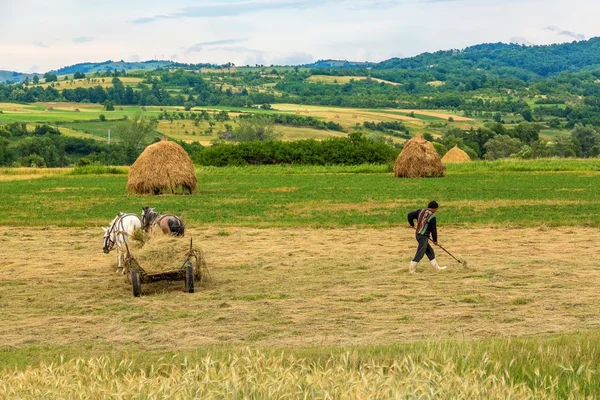 Agricoltore che lavora sulla sua terra — Foto Stock