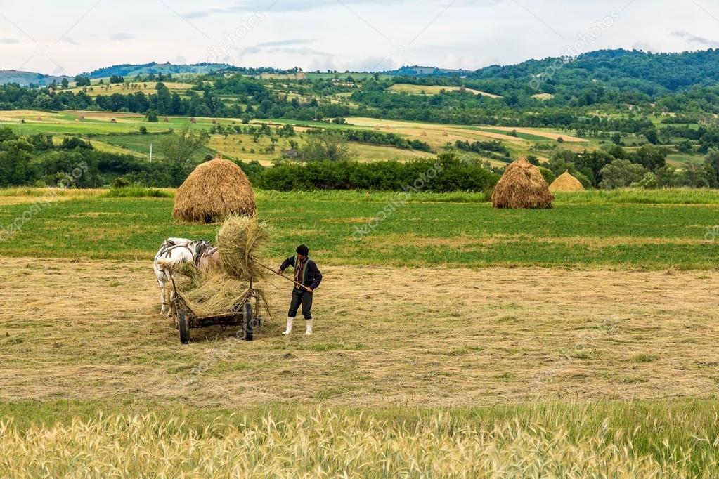 Farmer working on his land