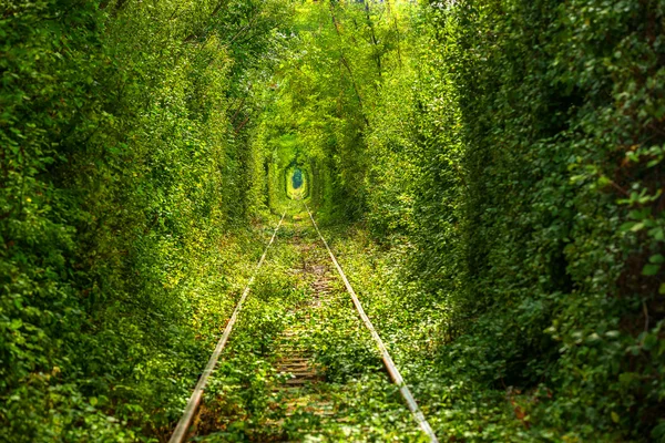 Tunnel der Liebe Stockbild