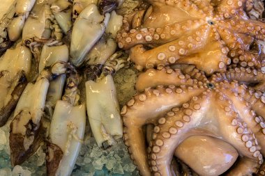 taze portakal meyveler