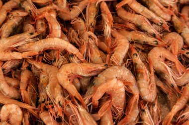 taze portakal meyveler