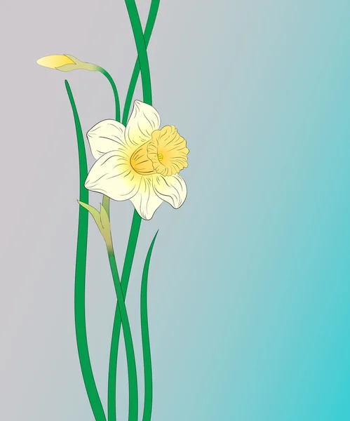 Narcisse. Anomalies vectorielles — Image vectorielle