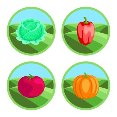 Rozetleri renkli sebze