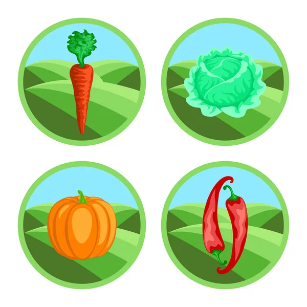 Insignias de verduras en color — Vector de stock