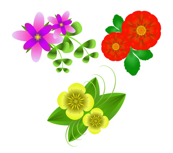 Flores sobre fondo blanco — Vector de stock