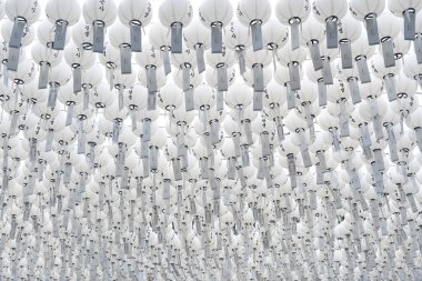 Beyaz Çin fener topları birbirine sıkıca tutunarak beyaz bir deniz yaratıyor..