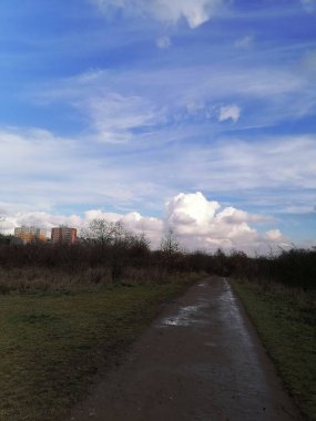 Mavi gökyüzü ve beyaz bulutlarla yağmurdan sonra 