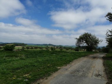 Panorama manzaralı bahar yolu 
