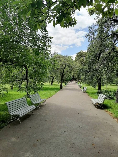 Parque Verde Praga Con Banco Blanco — Foto de Stock