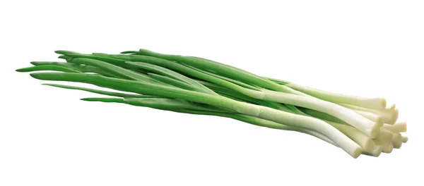 Green Fresh Onion Feathers Gathered Bunch White Isolated Background — Stock Photo, Image