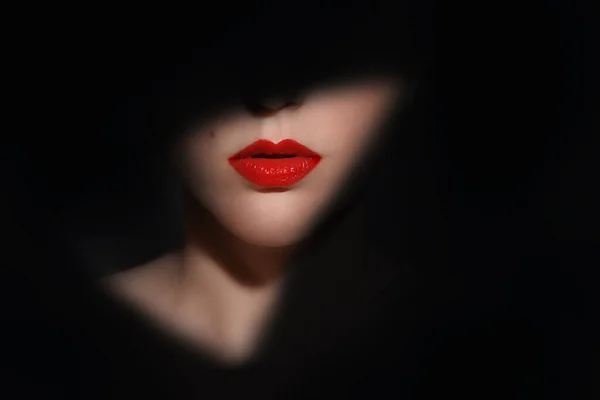 Rostro Una Mujer Con Brillantes Labios Rojos Regordetes Hermosos Parche Imagen de archivo