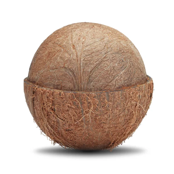 Ziarno Kokosowe Białym Odizolowanym Tle Zbliżenie — Zdjęcie stockowe