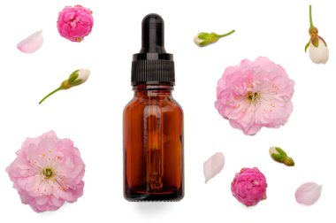flatley of a glass bottle with an eyedropper and delicate flowers on a white isolated background