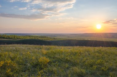 Turuncu bir yaz tarlasında gökyüzünü dolduran ışık ışınları.