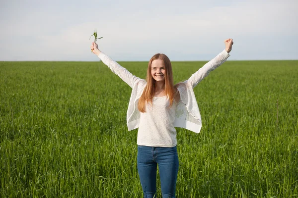Vrouw met open armen op het gebied van de groene tarwe op de ochtend — Stockfoto