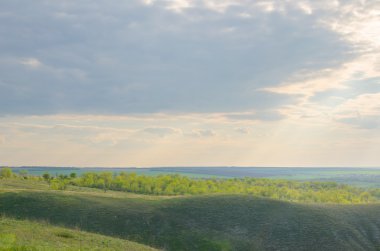 Turuncu bir yaz tarlasında gökyüzünü dolduran ışık ışınları