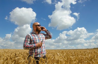 bir buğday alanında ayakta ve telefonda konuşurken bardaklarda tüysüz çiftçi.