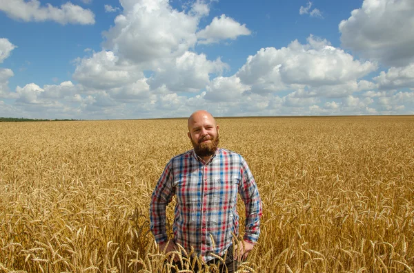 幸せ笑顔成功の白人 30 歳農夫彼の小麦畑の前で誇らしげに立って. — ストック写真