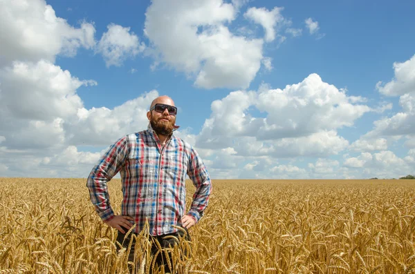 幸せ笑顔成功の白人 30 歳農夫彼の小麦畑の前で誇らしげに立って — ストック写真