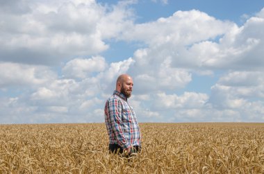 Mutlu gülümseyen başarılı beyaz otuz yaşında çiftçi onun buğday alanları önünde gurur daimi.