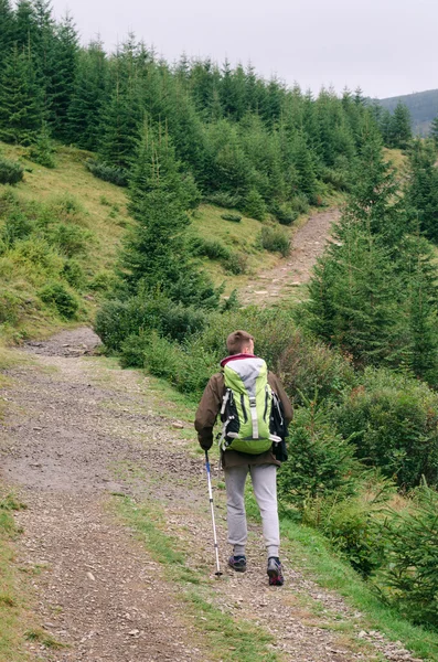 Outdoor-Porträt eines jungen Mannes, der in den Bergen wandert, lächelnd glückliches Porträt eines Touristenmale.Extremsport, Sportausrüstung, Reisetasche, kaukasischer männlicher Wanderer, der im Wald wandert. — Stockfoto