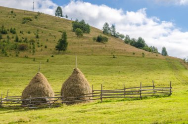 eski geleneksel saman yığınları, Karpat Dağları'nda tipik kırsal sahne. Ukraynalı manzara.