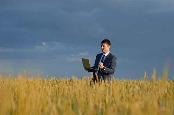 Empresários em um campo de trigo com pc — Fotografia de Stock