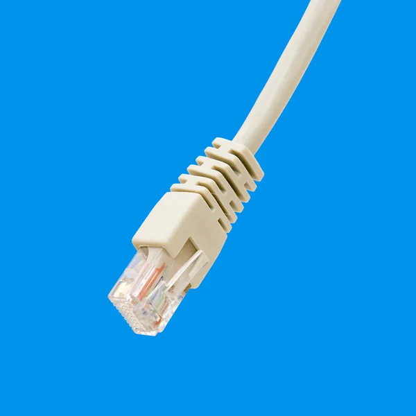 Cabo ethernet branco no fundo azul — Fotografia de Stock