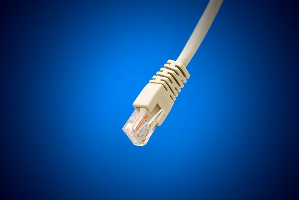 Ethernet kablosu — Stok fotoğraf