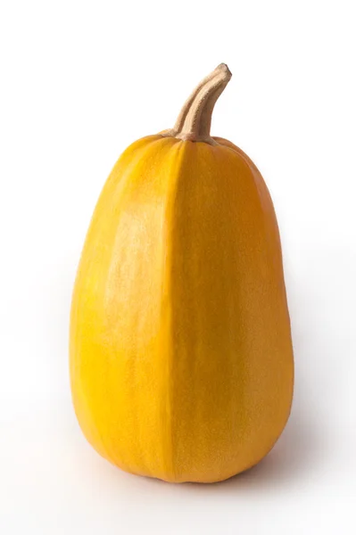 Zucca gialla su sfondo bianco — Foto Stock