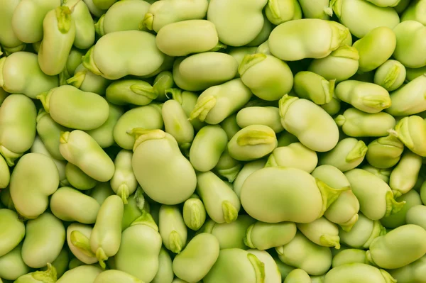 Fresh green broad beans — Stock Photo, Image