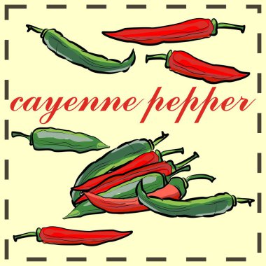 Cayenne biberi. Organik ve ekolojik ürünlerin dizaynı. 