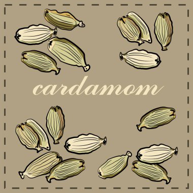Cardamo. organik ve ekolojik ürünlerin tasarımı..