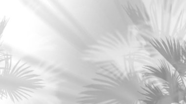 Beyaz arka plan ve tropikal yaprakların yumuşak gölgeleri. Doğa, güzellik, ekolojik kozmetik, kişisel bakım, spa.