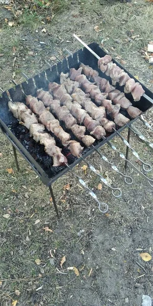 Izgarada Barbekü Kömürde Barbekü Çiğ Kebap Doğada Kebaplar — Stok fotoğraf